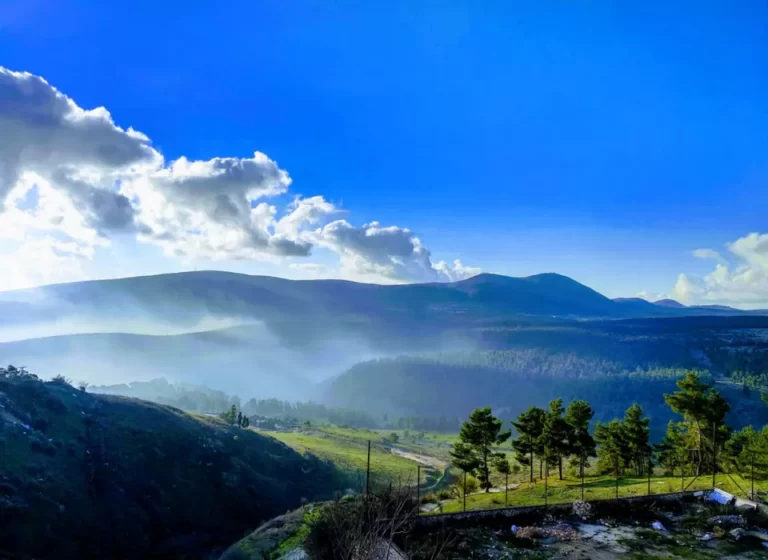 about_2_slider_gallery_001